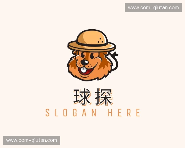 关于球探官方网站